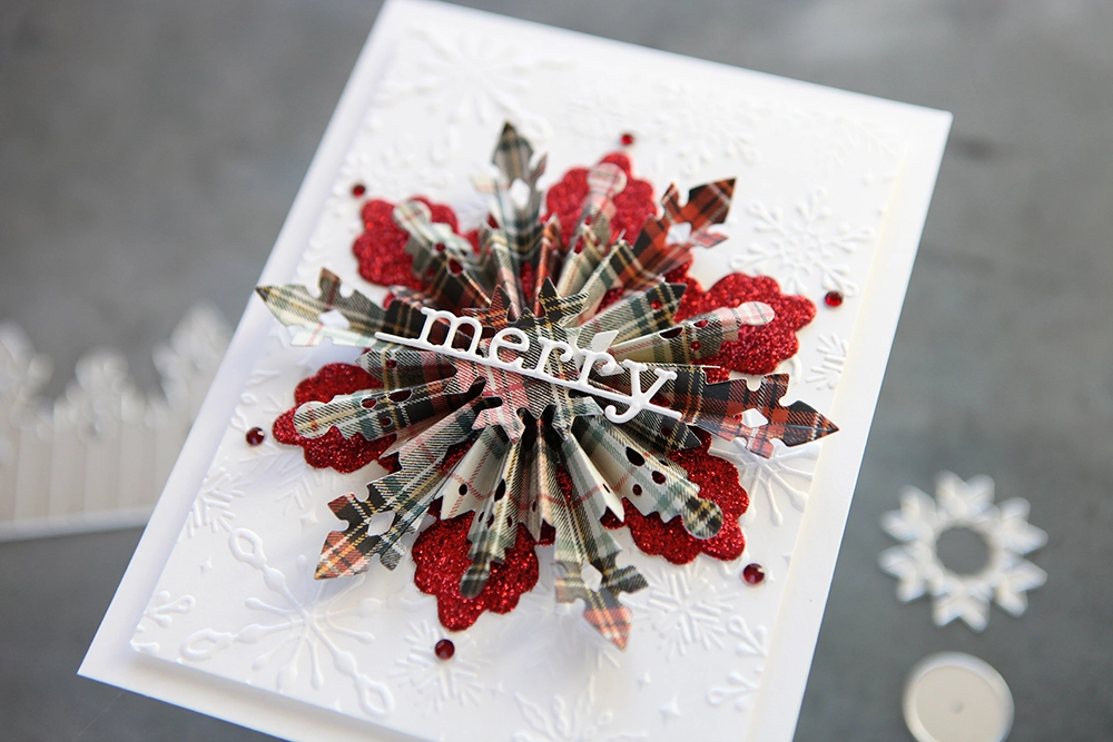 The Tim Holtz Cyber Monday Exclusive Die Set - CZ Design